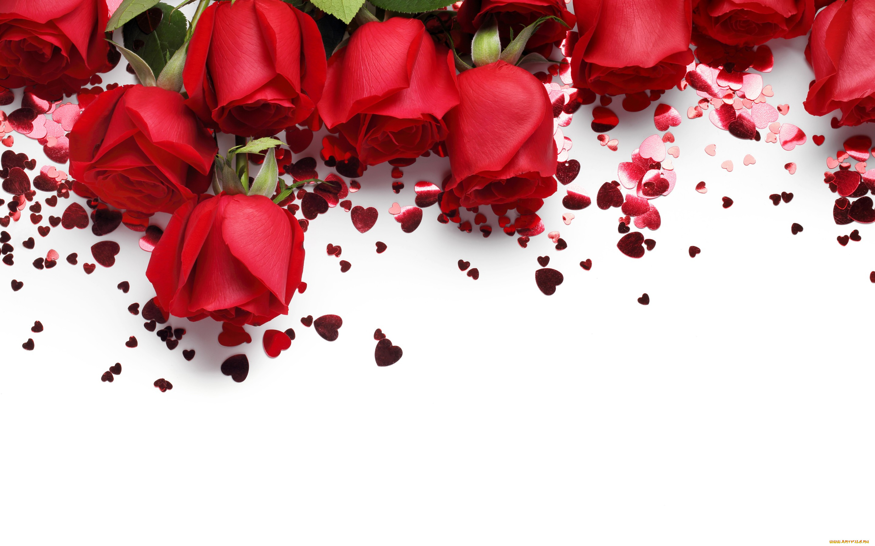 ,   ,  ,  , valentines, day, roses, , , 